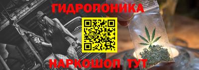 сатива Лесосибирск
