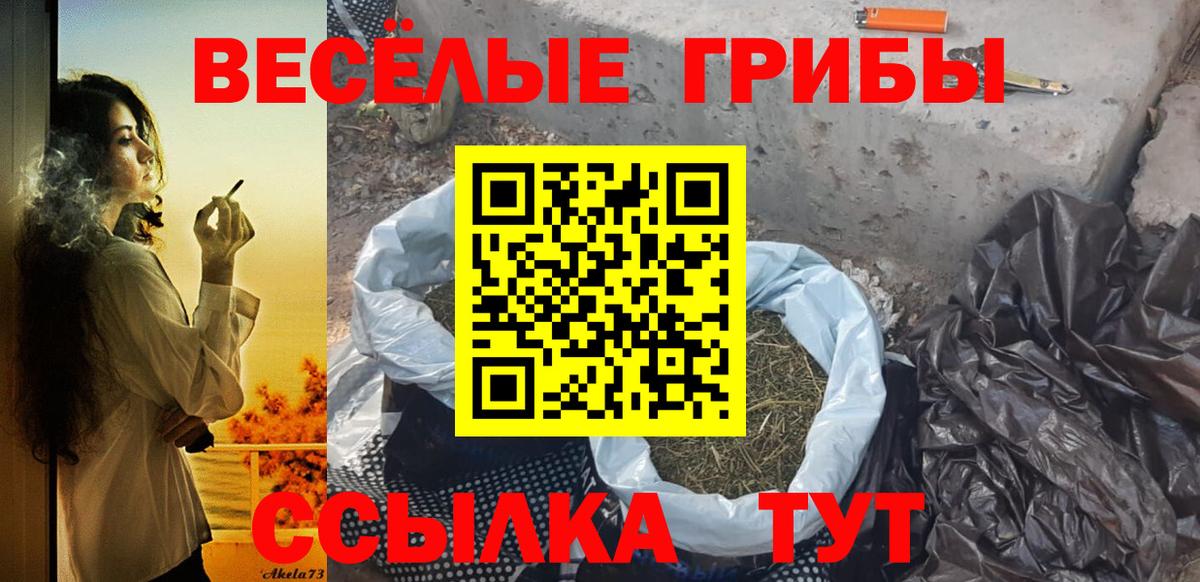 Псилоцибиновые грибы Psilocybine cubensis  Галлюциногенные грибы MAGIC MUSHROOMS  Вход с VPN  Дзержинский 